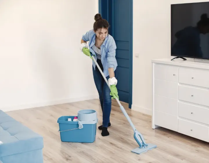 Femme de ménage Vironchaux